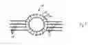 Fig. 09 - Electrical lead for an electronic device such as an implantable device