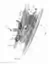 Fig. 02 - Boat having a pedal drive