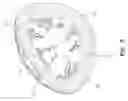 Fig. 04 - Air-permeable elastomeric bra cup