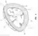 Fig. 07 - Air-permeable elastomeric bra cup