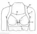 Fig. 01 - Athletic bra with adjustable support system