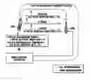 Fig. 01 - Mobile station, mobile communication system, and mobile communication method