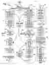 Fig. 22 - Multi-player reaction time game systems and methods