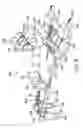 Fig. 06 - Exercise apparatus and method