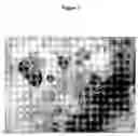 Fig. 02 - Compositions comprising particles resulting from processing in a slurry mix