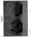 Fig. 06 - Compositions comprising particles resulting from processing in a slurry mix