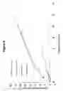 Fig. 07 - Compositions comprising particles resulting from processing in a slurry mix