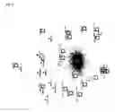 Fig. 05 - Genes whose expression is increased in response to stimulation by corticotropin-releasing hormone