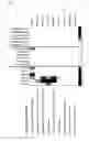 Fig. 07 - Genes whose expression is increased in response to stimulation by corticotropin-releasing hormone