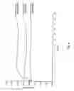 Fig. 07 - Liquid growth hormone formulation and process of preparation thereof