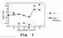 Fig. 04 - Chemokine mimetics synthesis and their use