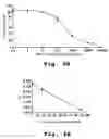 Fig. 05 - Chemokine mimetics synthesis and their use