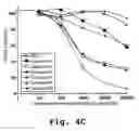 Fig. 06 - Chemokine mimetics synthesis and their use