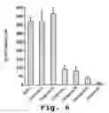 Fig. 08 - Chemokine mimetics synthesis and their use