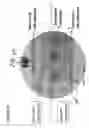 Fig. 17 - Methods and compositions for the treatment and prevention of staphylococcus and other bacterial infections