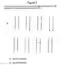 Fig. 03 - Analysis and separation of platelet-derived growth factor proteins