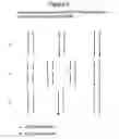 Fig. 04 - Analysis and separation of platelet-derived growth factor proteins