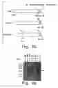 Fig. 09 - Compounds that bind to growth hormone receptor