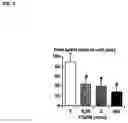 Fig. 06 - Dipeptidyl peptidase IV inhibitors for the treatment of anxiety