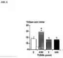 Fig. 07 - Dipeptidyl peptidase IV inhibitors for the treatment of anxiety