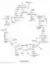 Fig. 02 - Method of improving cerebral function