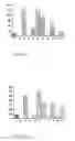 Fig. 12 - Pharmaceutical composition for the treatment and/or the prevention of atherosclerosis from infectious origin