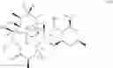 Fig. 07 - Spirocyclic bicyclolides