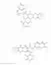 Fig. 06 - Method for reversing the immunosuppressive effects of the melanoma inhibitory activity 