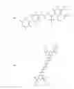 Fig. 136 - Method for reversing the immunosuppressive effects of the melanoma inhibitory activity 