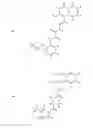 Fig. 152 - Method for reversing the immunosuppressive effects of the melanoma inhibitory activity 