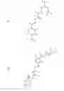 Fig. 239 - Method for reversing the immunosuppressive effects of the melanoma inhibitory activity 