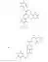 Fig. 79 - Method for reversing the immunosuppressive effects of the melanoma inhibitory activity 