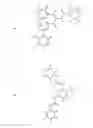 Fig. 86 - Method for reversing the immunosuppressive effects of the melanoma inhibitory activity 
