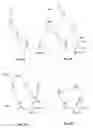 Fig. 02 - Sphingoid polyalkylamine conjugates for vaccination