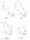 Fig. 02 - Sphingolipids polyalkylamine conjugates for use in transfection