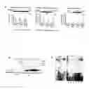 Fig. 02 - Compositions and methods to modulate pathogenesis