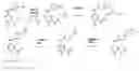 Fig. 03 - Use of CDK II inhibitors for birth control