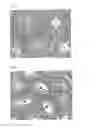 Fig. 06 - Use of CDK II inhibitors for birth control