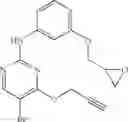 Fig. 30 - Use of CDK II inhibitors for birth control