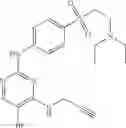 Fig. 33 - Use of CDK II inhibitors for birth control