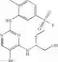 Fig. 487 - Use of CDK II inhibitors for birth control