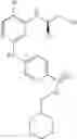 Fig. 489 - Use of CDK II inhibitors for birth control