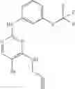 Fig. 82 - Use of CDK II inhibitors for birth control