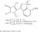 Fig. 37 - 1,1-dioxo-1H-1Λ-benzo[d]isothiazol-3-yl)-4-hydroxy-1,5-dihydro-pyrrol-2-one inhibitors of HCV polymerase