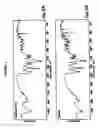 Fig. 04 - Amorphous moxifloxacin hydrochloride