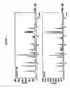 Fig. 05 - Amorphous moxifloxacin hydrochloride