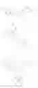 Fig. 09 - Process for preparing 5-[(R)-2-(5,6-diethyl-indan-2-ylamino)-1-hydroxy-ethyl]-8-hydroxy-(1H)-quinolin-2-one salt, useful as an andrenoceptor agonist