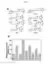 Fig. 02 - Small molecule Bcl-xL/Bcl-2 binding inhibitors