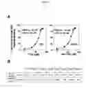 Fig. 06 - Small molecule Bcl-xL/Bcl-2 binding inhibitors
