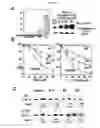 Fig. 08 - Small molecule Bcl-xL/Bcl-2 binding inhibitors